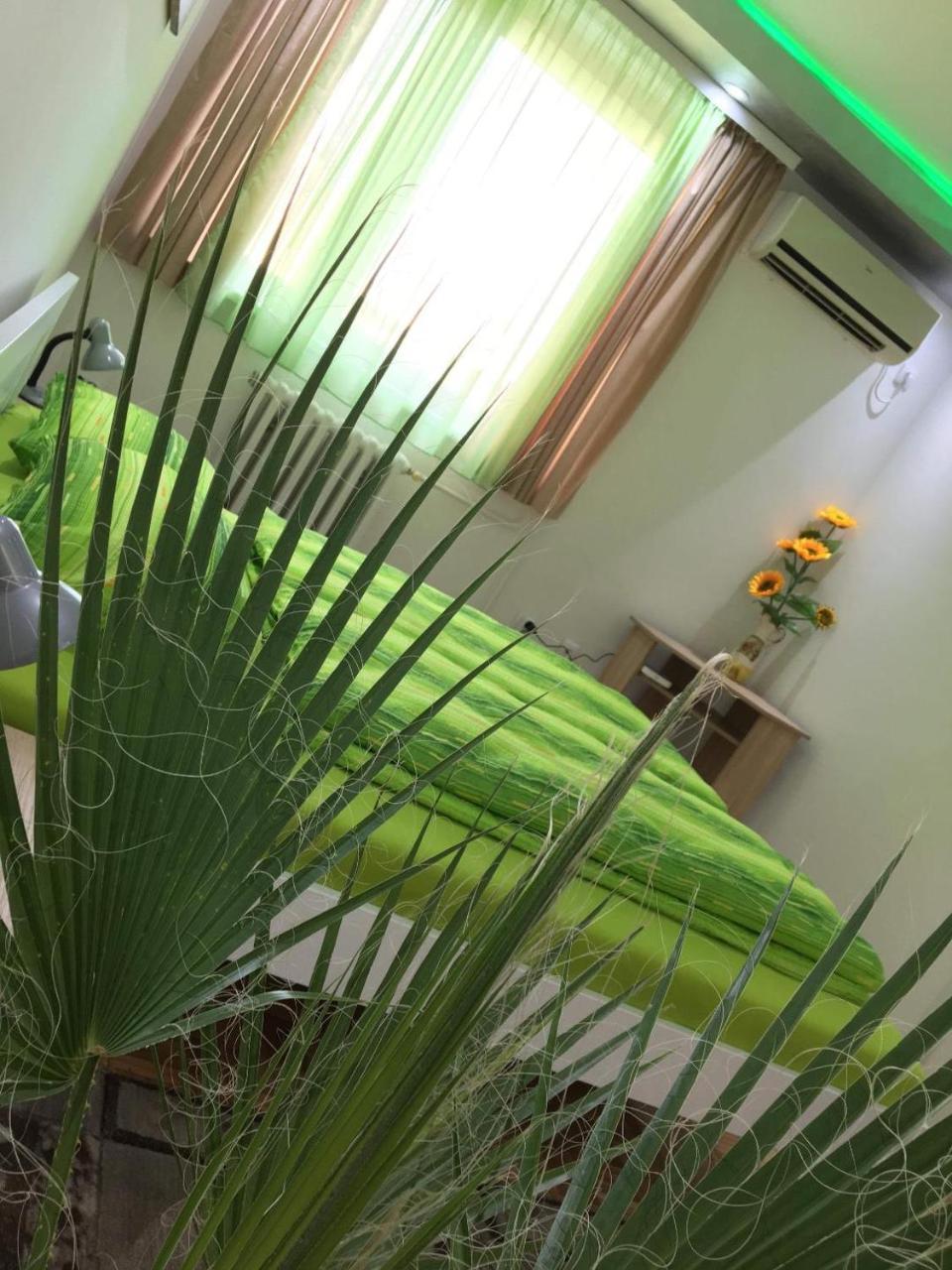 Green Dreams Νόβι Σαντ Εξωτερικό φωτογραφία
